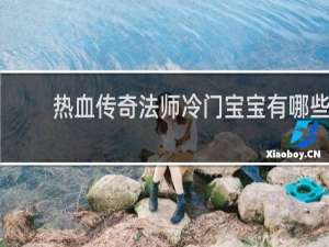 热血传奇法师冷门宝宝有哪些