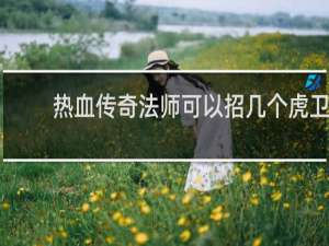热血传奇法师可以招几个虎卫