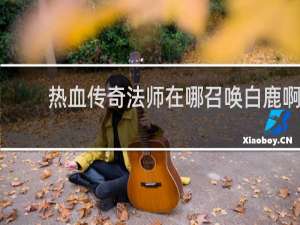 热血传奇法师在哪召唤白鹿啊