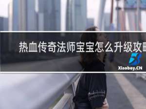 热血传奇法师宝宝怎么升级攻略