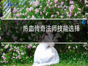 热血传奇法师技能选择