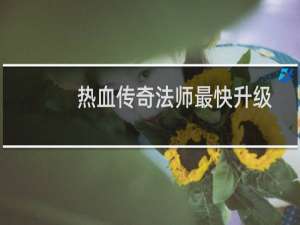 热血传奇法师最快升级