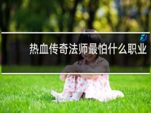 热血传奇法师最怕什么职业