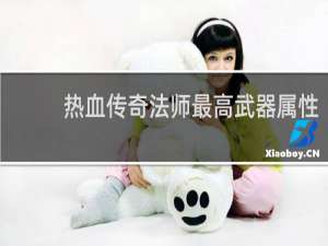 热血传奇法师最高武器属性
