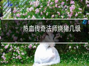 热血传奇法师烧猪几级