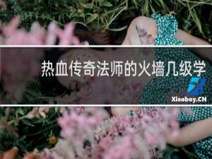 热血传奇法师的火墙几级学