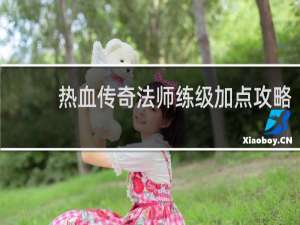 热血传奇法师练级加点攻略