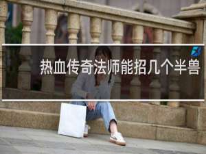 热血传奇法师能招几个半兽