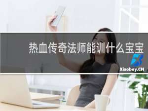 热血传奇法师能训什么宝宝