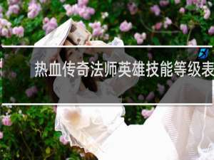 热血传奇法师英雄技能等级表