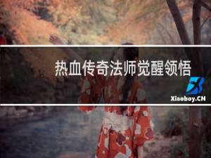 热血传奇法师觉醒领悟