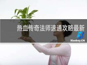 热血传奇法师速通攻略最新