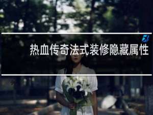 热血传奇法式装修隐藏属性