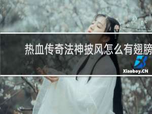 热血传奇法神披风怎么有翅膀