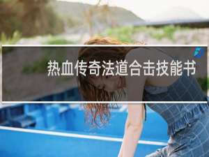 热血传奇法道合击技能书