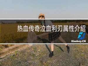 热血传奇泣血利刃属性介绍
