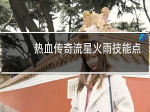 热血传奇流星火雨技能点