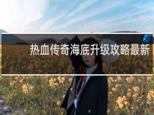 热血传奇海底升级攻略最新