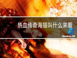 热血传奇海猫叫什么来着