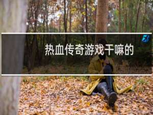 热血传奇游戏干嘛的