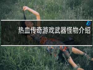 热血传奇游戏武器怪物介绍