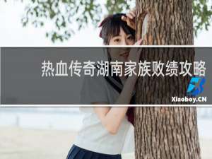 热血传奇湖南家族败绩攻略