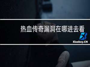 热血传奇漏洞在哪进去看