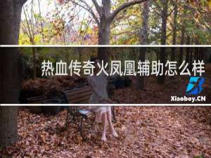 热血传奇火凤凰辅助怎么样
