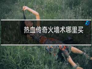 热血传奇火墙术哪里买