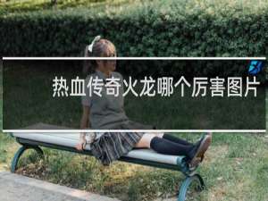 热血传奇火龙哪个厉害图片