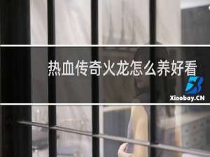 热血传奇火龙怎么养好看