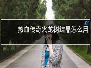 热血传奇火龙树结晶怎么用