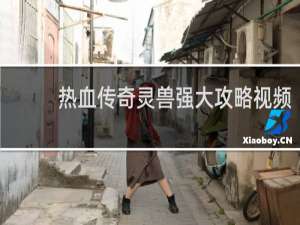 热血传奇灵兽强大攻略视频