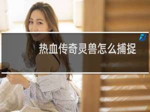 热血传奇灵兽怎么捕捉