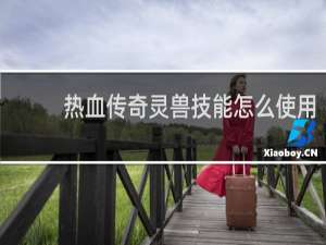 热血传奇灵兽技能怎么使用