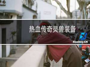 热血传奇灵兽装备