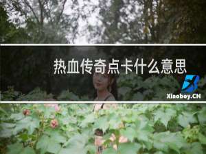 热血传奇点卡什么意思