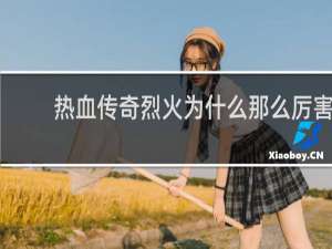 热血传奇烈火为什么那么厉害