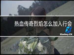 热血传奇烈焰怎么加入行会
