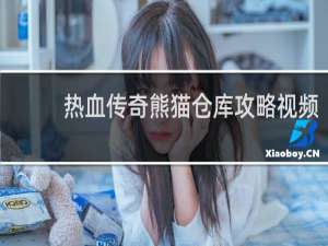 热血传奇熊猫仓库攻略视频