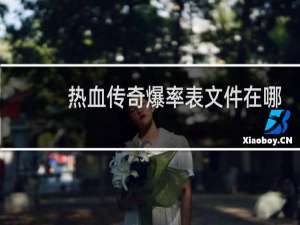 热血传奇爆率表文件在哪