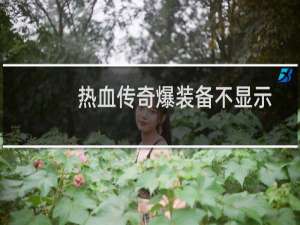热血传奇爆装备不显示
