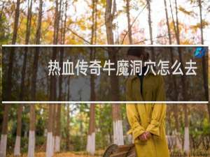 熱血傳奇牛魔洞穴怎么去