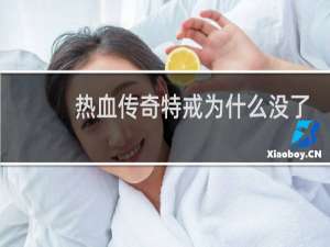 热血传奇特戒为什么没了