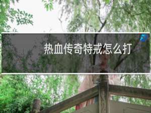 热血传奇特戒怎么打