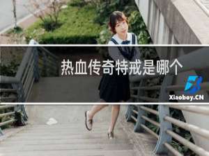 热血传奇特戒是哪个