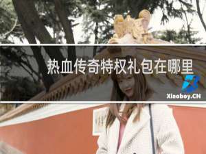 热血传奇特权礼包在哪里