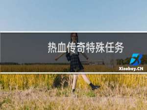 热血传奇特殊任务