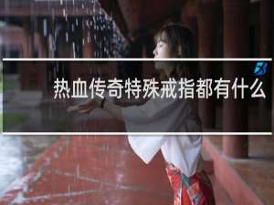 热血传奇特殊戒指都有什么