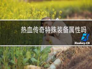 热血传奇特殊装备属性吗